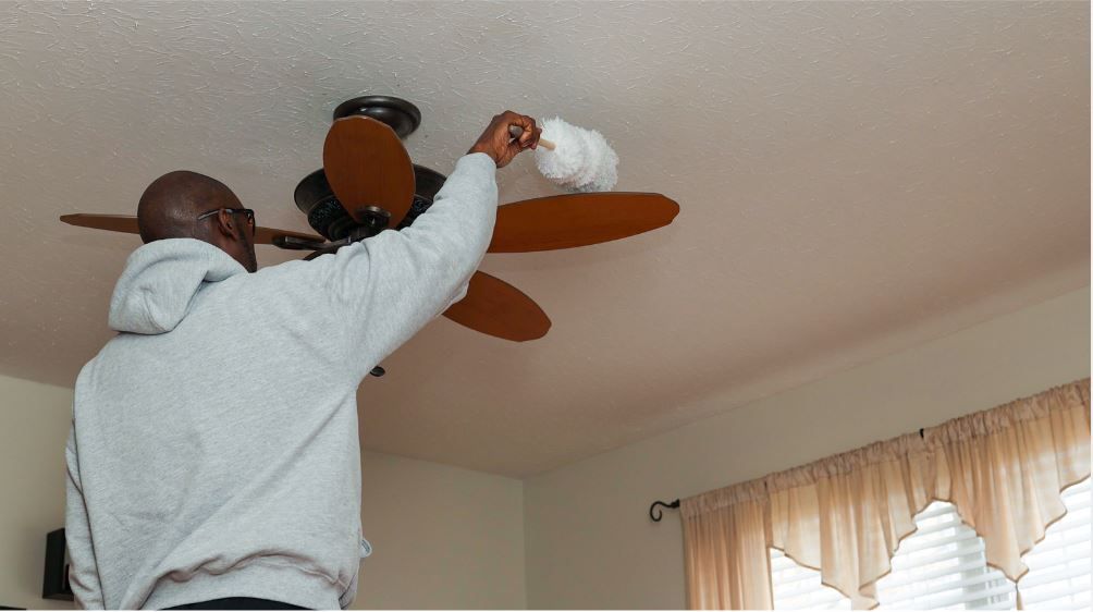 dusting surfaces and cleaning cobwebs from ceilings